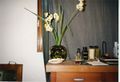 Narcissus and Desk 2002.jpg