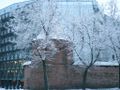 Winter in Kaunas.jpg.jpg